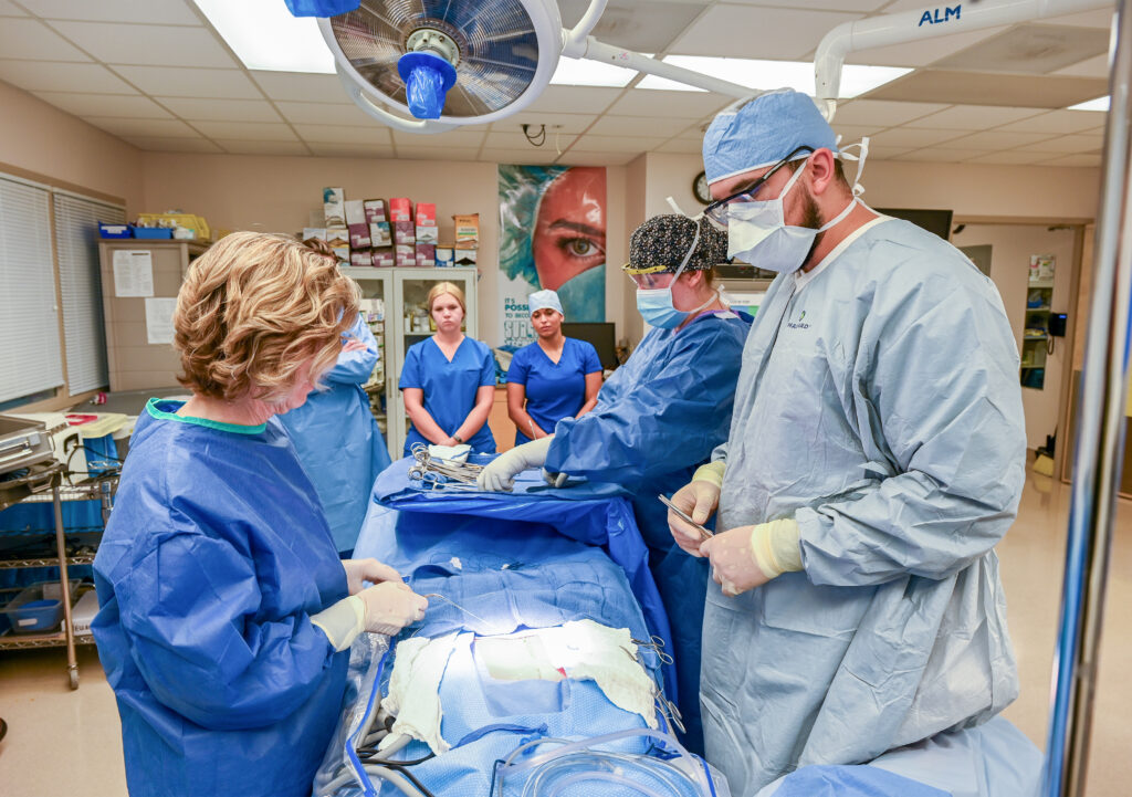 Photo of surgeons performing surgery.