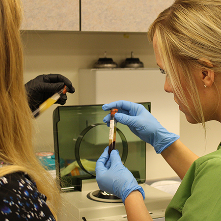 GFC MSU to host Health Sciences Exploration Day