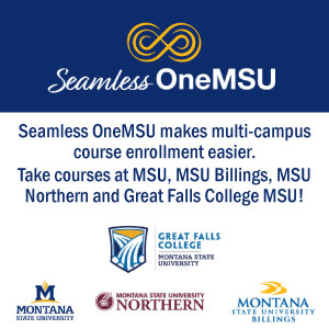 New Seamless OneMSU initiative streamlines transfer process